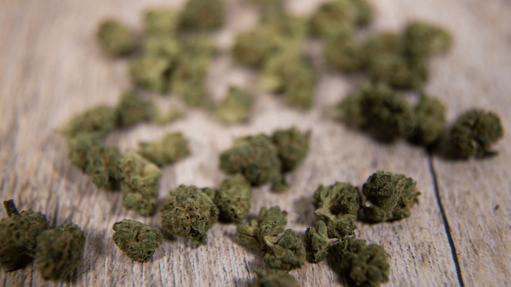 The Green Revolution in Albania – Passing the Marijuana Law